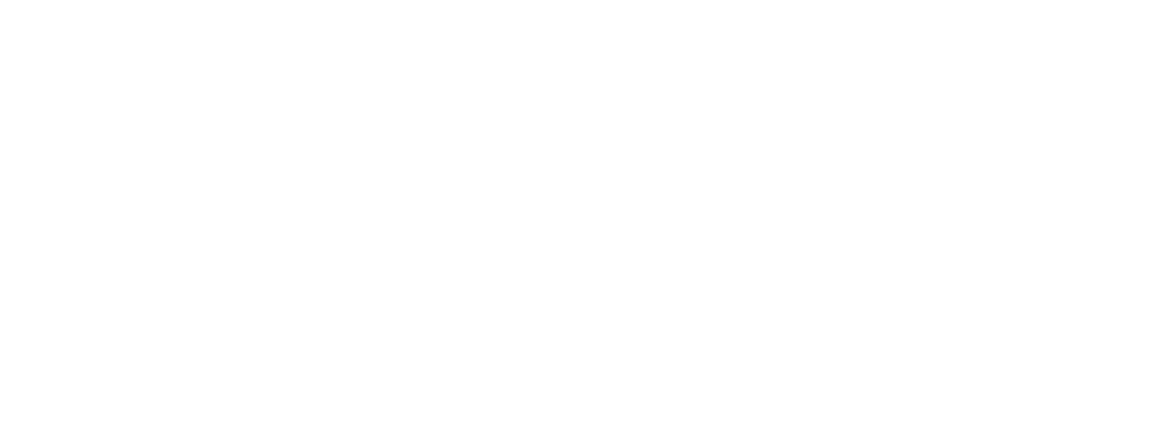 White Orbit logo