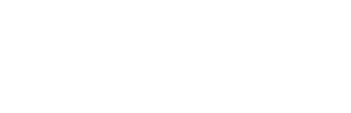 White Orbit logo